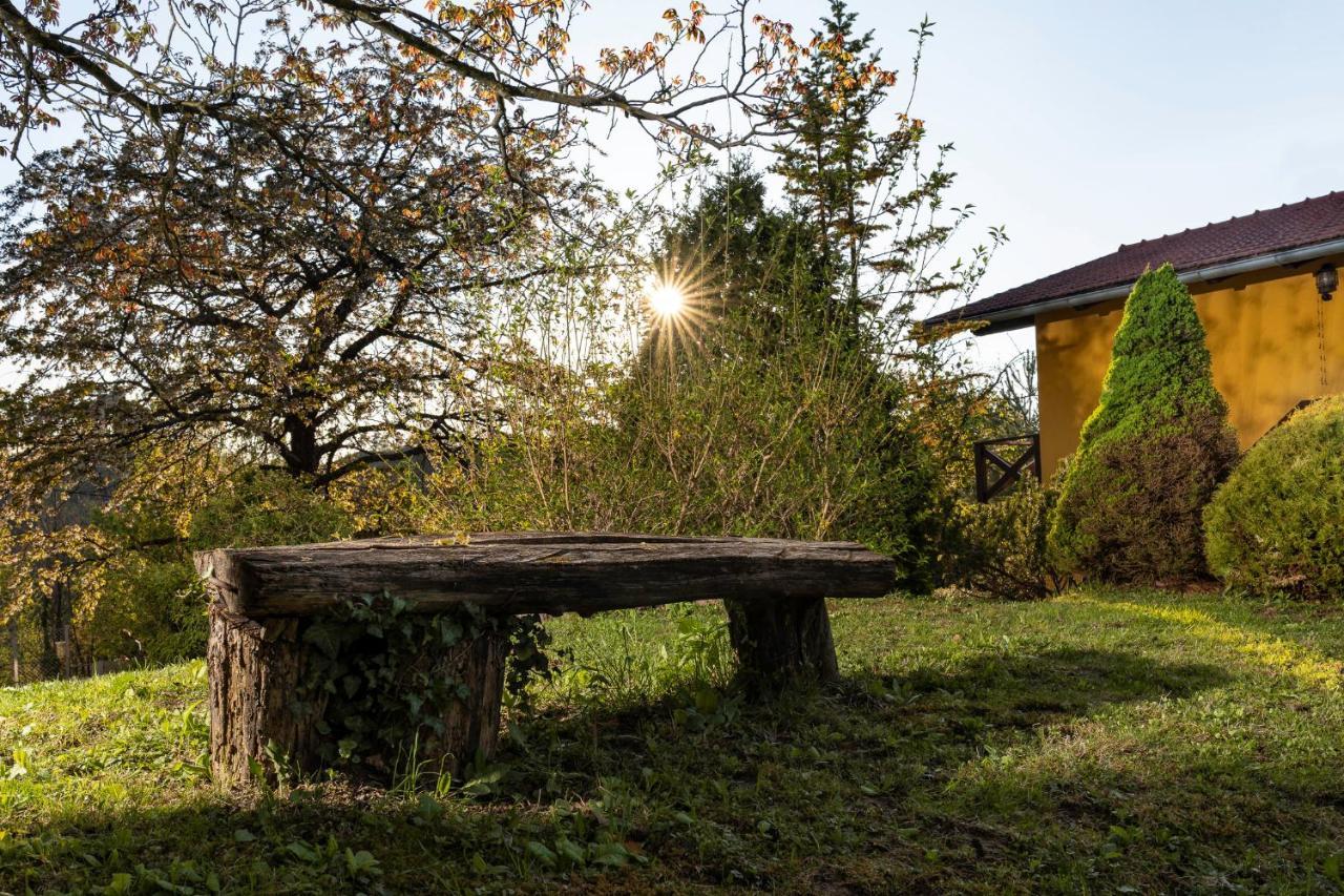 Apartment Villa Ema Krapinske Toplice Eksteriør billede